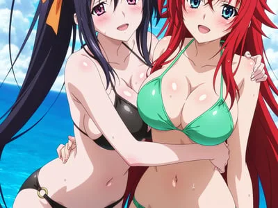 恶魔高校D×D 封面